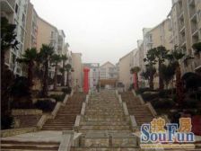 南山精装房,南北朝向,通风采光好,安静舒适宜居