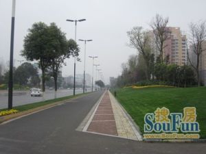 怡合花苑3室1厅南