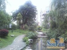 浩立半岛康城精装三房 朝中庭 出行方便