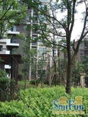 鑫宇翠庭3室2厅南
