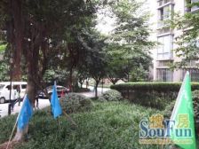 小区门口地铁 单价低 出入方便 采光好