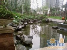 鲁能星城八街区 3室2厅 北