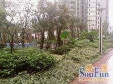 BS中指 江北区 精装大三房 安静看中庭 拎包住鲁能星城