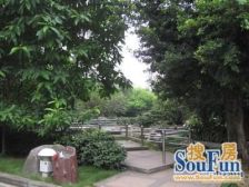 南坪万达协信旁 珊瑚在侧 正规2房 安心卖 看房方便