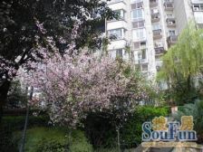 黄泥磅 新城丽园 精装修两室 家具家电齐全 看房方便