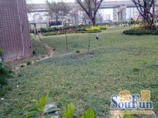 学府路 府邸美郡二房51.5万