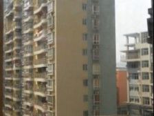 迷你星座 1室0厅 南