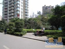 三峡广场一室一厅,户型方正,位置好 出行方便