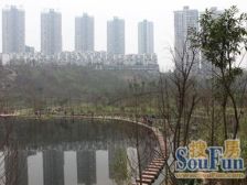 彩云湖旁精装精装联排别墅带花园带露台