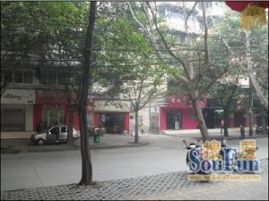 平福路92号 2室1厅 东