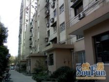 少见一楼外开门 送实顶天井+阳台 门口还送小阳台 老少皆宜