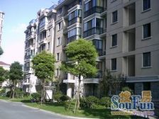 宝林新苑2室南朝向514.00万元/套出售