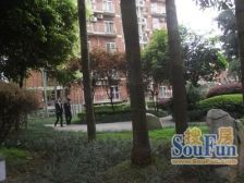 佳华首秀之作园林小区,正规大三房,地理位置方便