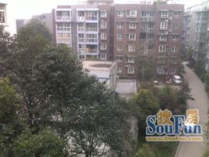 香汀兰庭3室1厅西南