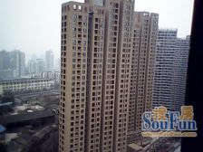 融侨半岛住家两房 业主诚心出售 产权清晰 随时交易