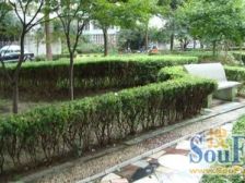 店长主推+理工+三开间朝南采光刺眼