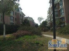 户型套型好,设施齐全,视野好无遮挡,楼层好