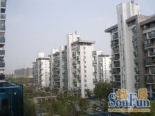 银河新都 2室1厅 南