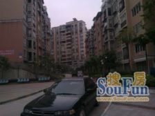 顺江大道 三峡轮船公司(顺江大道)三房25万