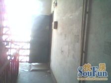 龙珠小区 南北通透,采光好 周边匹套完善,,出行方便