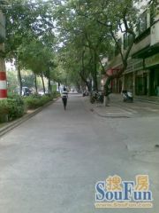 园圃路中区位置,成熟地段,近增城广场和东汇城