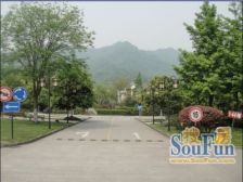 假日青城 1室1厅 东 东南