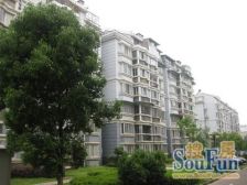 红谷世纪花园B区 南北通透,采光好 装修好,环镜优美 近地铁 视野好,诚心出售