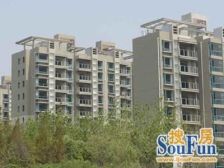 东明花苑 3室2厅 南