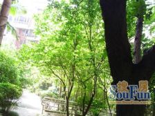 佳华世纪新城D区精装六房满两年带家电跃层带花园露台