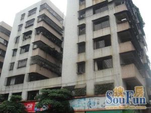 大沥自来水公司宿舍3室1厅南
