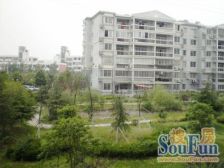 红谷世纪花园C区 南北通透,采光好 装修好,环镜优美 近地铁 视野好,诚心出售