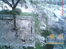 南坪 东路八小区二房