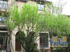 大学城 龙湖东桥郡六组团四房245万