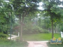 大石桥 2室1厅 东南