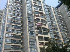 近地铁 随时看房,电梯房 新上房源