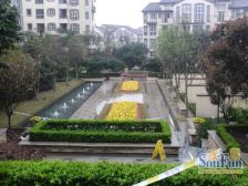 大竹林 龙湖江与城熙溪地四房329万