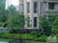 楼层好格局合理出行便利看房方便两房精装修