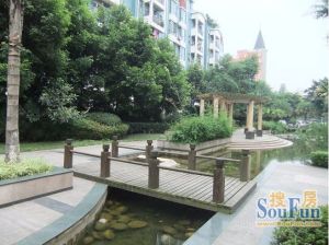 美洲花园一期 3室1厅 西南