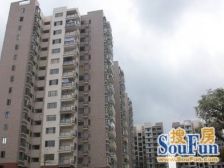 凯悦美景 3室2厅 东南 西北