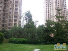 毛坯 世纪城大社区 西平繁华商圈,户型南北通