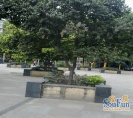 双城3室1厅东南