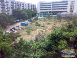 此房楼层好视野采光好,业主带家私电器出售,保养好,