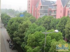 安亭新镇雅苑低密度社区、满五年、业主诚心出售