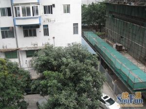 天河计经委大楼林和西路电梯大三房高实用房
