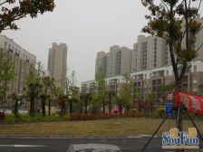 金硕河畔景园西区 2室1厅 南 北