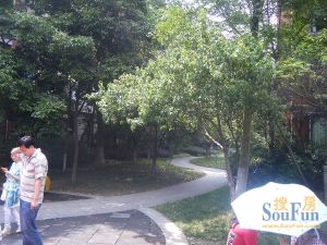 育才都市家园三期3室1厅西北