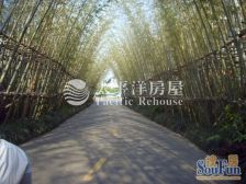 东方庭院(别墅) 4室2厅 南