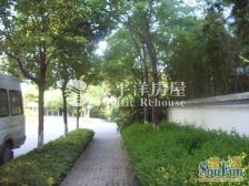 独栋别墅+南北通透+带露台+可塑造性高