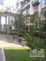 江安河畔 2室1厅 东南