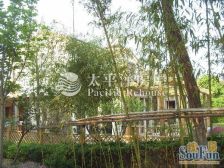 华为近满五双拼独栋别墅品质高 纯地上面积大生活舒适